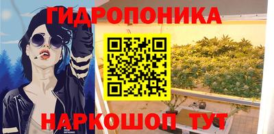 прущие грибы Тара