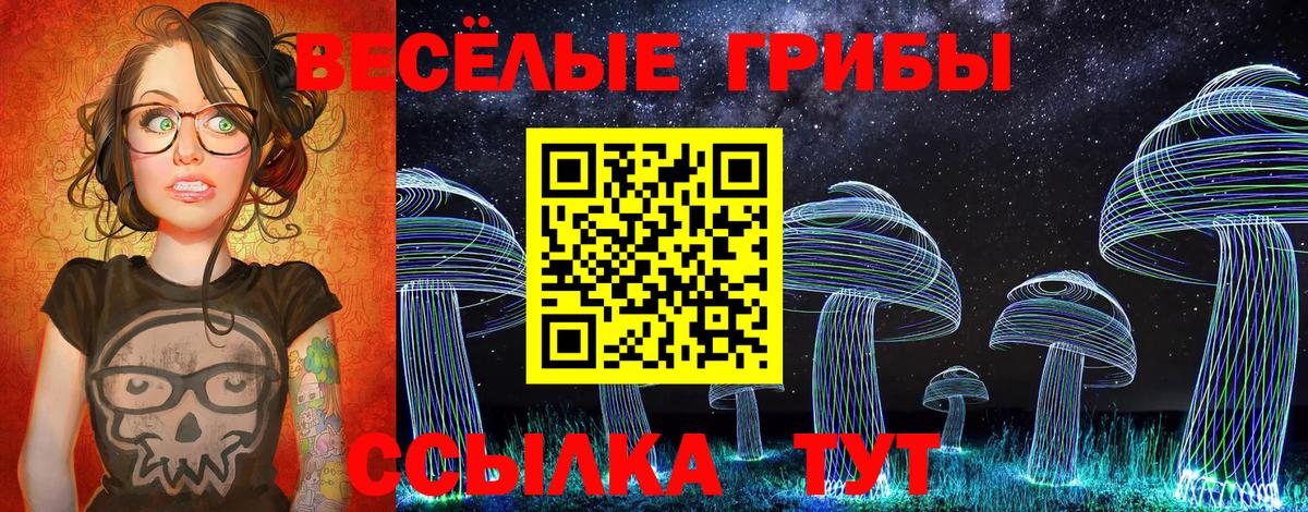 Псилоцибиновые грибы Cubensis Урай